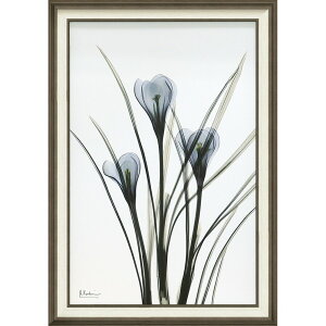 yX[p[SALE10OFFzLoXA[g X RAY LoXA[guNbJXiLTCYjv/CeA z z i |X^[ A[g Vv_ mg[ A[gpl r