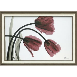 LoXA[g X RAY LoXA[gutW `[bviLTCYjv/CeA z z i |X^[ A[g Vv_ mg[ A[gpl rO  