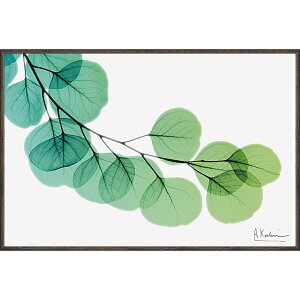 A[gt[ X RAY LoXA[gu[JiSTCYjv/CeA z z i G |X^[ A[g A[gpl rO  v[g _ A[gt[ 