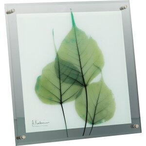 yI|Cg100obNzgQA[g X RAY KX A[guO[ [JiMTCYjv/CeA z z i G |X^[ A[g A[gpl rO  v