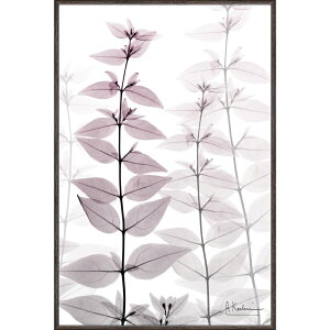 yX[p[SALE10OFFzgQA[g X RAY LoXA[gun[jEX [tiSTCYjv/CeA z |X^[ A[g Vv_ mg[ A[gpl rO 