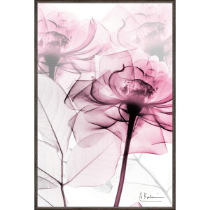 gQA[g X RAY LoXA[gusN[YiSTCYjv/CeA z |X^[ A[g Vv_ mg[ A[gpl rO  v[g  o STC