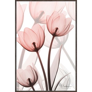 gQA[g X RAY LoXA[guX^[ `[bviSTCYjv/CeA z |X^[ A[g Vv_ mg[ A[gpl rO  v[g  S