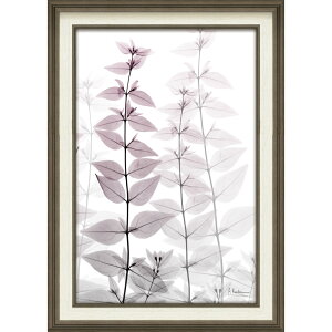 yX[p[SALE10OFFzgQA[g X RAY LoXA[gun[jEX [tiMTCYjv/CeA z |X^[ A[g Vv_ mg[ A[gpl rO 