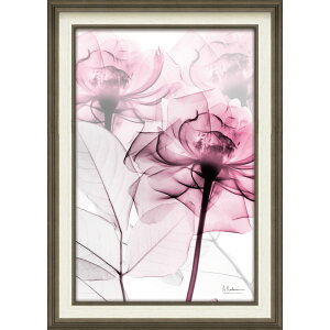 gQA[g X RAY LoXA[gusN[YiMTCYjv/CeA z |X^[ A[g Vv_ mg[ A[gpl rO  v[g  o STC