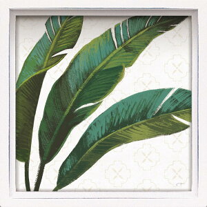 G nX ~jA[gt[ Wl[ yi[uEFJ gD p_CX1v O[ [t 썑 A Ǐ rO  ɏ CeA v[g Mtg zt t