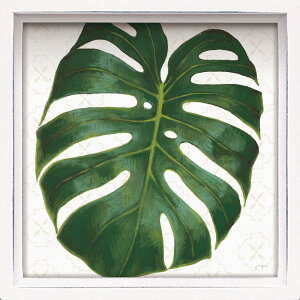 G nX ~jA[gt[ Wl[ yi[uEFJ gD p_CX3v O[ [t 썑 A Ǐ rO  ɏ CeA v[g Mtg zt t