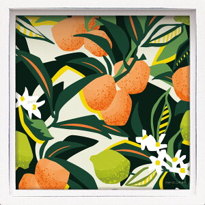 G nX ~jA[gt[ ~[K MK[uIWCv Jt A CeA rO  ɏ v[g zt Ǐ Mtg A[gpl t[t