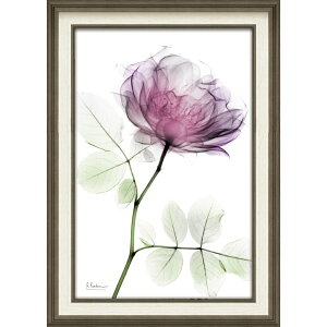 G XRAYLoXA[guEh[YiMTCYjv gQA[g t[t CeA rO  Q ɏ A  v[g Mtg A[gpl Ǐ z