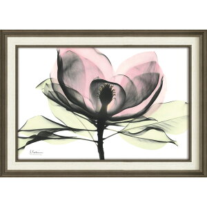 G XRAYLoXA[gusN}OmAiMTCYjv gQA[g t[t CeA rO  Q ɏ A  v[g Mtg A[gpl Ǐ z