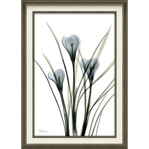 G XRAYLoXA[guNbJXiMTCYjv gQA[g t[t CeA rO  Q ɏ A  v[g Mtg A[gpl Ǐ z LL