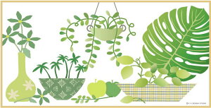 _ LoXA[g Y.P.fUC X^WI O[AW (M)-I/CeA z z i G |X^[ A[g A[gpl rO  v[g _ A[gt[