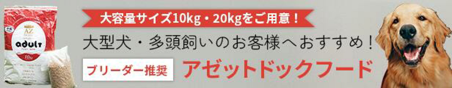 AZ10ｋｇオススメ