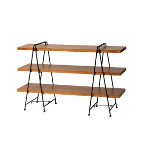 tH[fBOVFt3D GT-123BR sAkCEE͕s