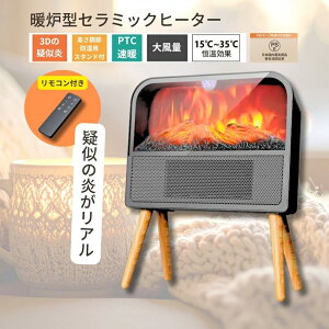 gF^Z~bNq[^[@S740uKivPCEGXEPC [J[1Nۏ؁[J[isAE͕sjVi