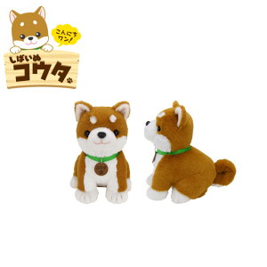  500~lN[|ΏۉF ʂ݂΂ʃRE^ E͑ʓr