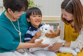 しっぽふりふり あまえんぼうねこちゃん ホワイト（※沖縄及び離島へのお届け不可）