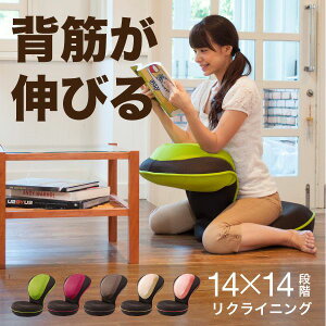 w؂GUUUN p֎q0070-2058@[J[蒼isAkCEE͕sj