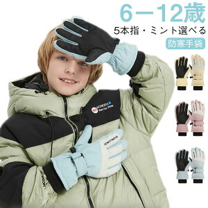 �O���[�u �X�L�[ �X�|�[�c ���N�� �V�� �X�L�[�� �X�L�[�E�F�A �X�L�[�O���[�u �L�b�Y �q�� �h�� �h�� �j�̎q �X�}�z�Ή� �X�m�{ �X�L�[��� �X�m�[�O���[�u �� ���̎q �X�P�[�g �ʊw 6�� �~