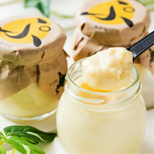 ''k̃nCO[hHi2021'' wח{{ Ղ 6x kC 쒬 Yn i v XC[c  NX}X Ε NNn j o^C zCgf[ 