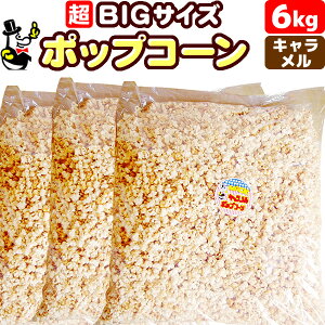 minƖp |bvR[ L 2kgm60`70lnmoU[ Cxg  wՂɍœK BIGTCY   q q ii َq Ԃ 񎟉 |bvR[t