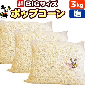 ［完成品］業務用 ポップコーン 塩味［約90L］ 3kg（1kg×3）約150人分 送料無料［バザー イベント 文化祭に最適］［おもしろ 縁日 子供 子供会 景品 お菓子 お返し 二次会 ポップコーンフレーバー 材料 サプライズ 誕生日 プレゼント 祭］