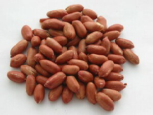 싞480g@m܂݁@Ɩp@܂݁@s[ibcn