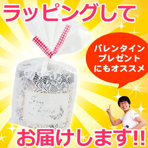◎月の小石チョコお父さんをビックリさせちゃおう!!石そっくりチョコ/ハロウィン/お菓子