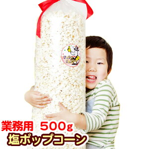 Ό |bvR[  m15Ln500g25lmoU[@ @`@Ё@Ɩp [J[ @B ^svB ii q q َq Ԃ@ii@t[o[ ޗ 