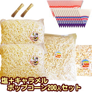 minCxg|bvR[ 200lZbg pܕtyL3kg(2kg+1kg) 100l 2kg(1kg×2j 100l Op200i.ԁj [^C200{tzmoU[ Hו Ɩp  ii q