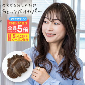 ＼9/29・9/30は全品ポイント5倍！さらにクーポン有／ちょびっと白髪隠しウィッグ ST-012 部分ウィッグ カバーピース ヘアピース つけ髪 頭頂部 自然 おしゃれ ミセス メッシュ 女性用 部分かつら レディース つむじ付き つむじ隠し 薄毛隠し ウイッグ グレーヘア プリシラ