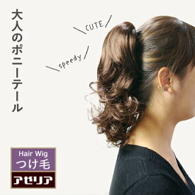 楽天市場 ウィッグ ポニーテール 短いの通販