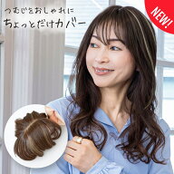 ちょびっと白髪隠しウィッグ ST-012 部分ウィッグ カバーピース ヘアピース つけ髪 頭頂部 自然 おしゃれ…