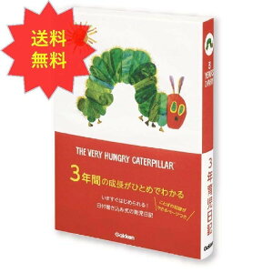 はらぺこあおむし 育児ダイアリーの人気商品 通販 価格比較 価格 Com