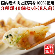 送料無料 (3種類40個) 8人前 本格生餃子 セット 詰め合わせ 冷凍餃子 冷凍生餃子 生餃子 冷凍食品 食品 …