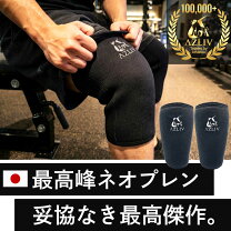 楽天市場】sbdニースリーブ lの通販