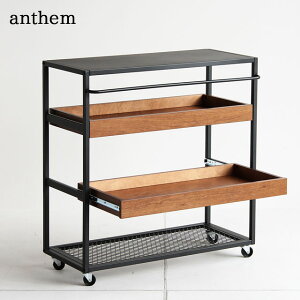 _{|Cg5{^Lb` S _CjO X`[ XCh[ LX^[t }` Vbv fBXv[S I[v bN uE BR AZ anthem ANW-2838BR ؐ 