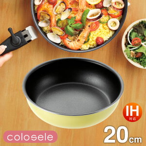 肪 tCp 20cm RZ colosele IHΉ[KX΂OK] CSF-20 RpNg[ ʂӂfH I[MΉ CG[ F