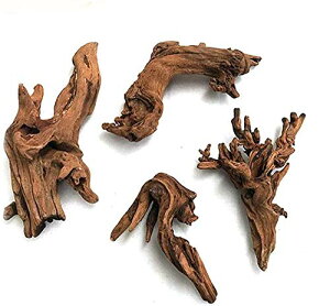 4 R كVNGCuؐ̑ i 15-25cmj