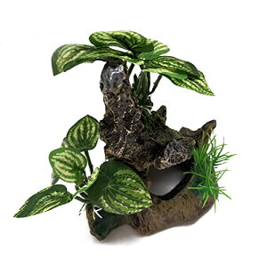 ق̏蕨 p̐̏萶n A TP؍ B