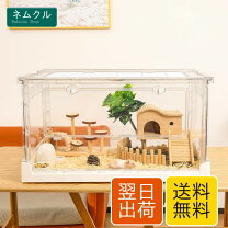 楽天市場】ペッツルート ゲージの通販