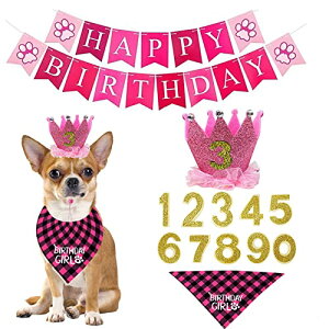 ybg aXq 悾ꂩ t L aXqo_i ybgObY  LO 4_Zbg  sN v[g  p RX`[ t (sN)