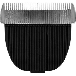 ybg oJ Nbp[ p֐n 2Zbg