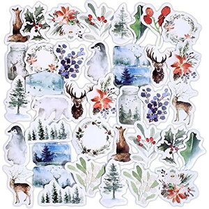 R[W f V[ t[NV[ XebJ[ e 킢  V[ fގ (X)