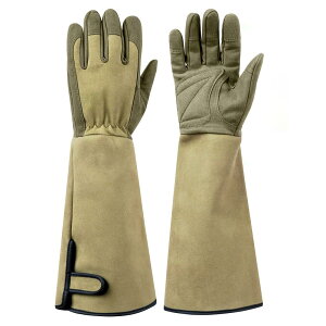 [gwooyi] |p K[fO[u op  |pi K[fjO ϐh gQh~ hȂ Ɨp K[fjOpi