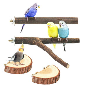 4_Zbg CR ~܂ pi p[` ܂ ܂𖁂  ܐ؂ X^h } CR   ނ P[WX^h P[WANZT[  xݏꏊ 