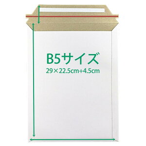 (10)B5TCYi29cm 22.5cmj  ޕ rWlX^[P[X zܒ300g  B5 NbN|Xg ^[pbN _{[ 60TCY ^b`\te[v Je[v