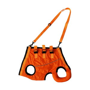 Avidora   n[lX s⏕ nr pi U V s IW M