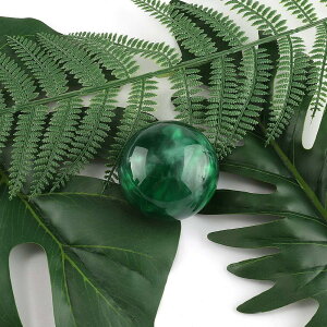 HANSWD ^Vtgmu p[MAmu {[^ AT MT ԗp YԂɑΉ ėp JX^ ubN 3ރA_v^[t (N₩ȗ)