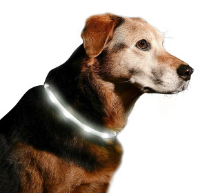 Orchidtent ̈S΍ LED 铹̈S FocO  ړx_ LL U o ̖h~ (zCg)